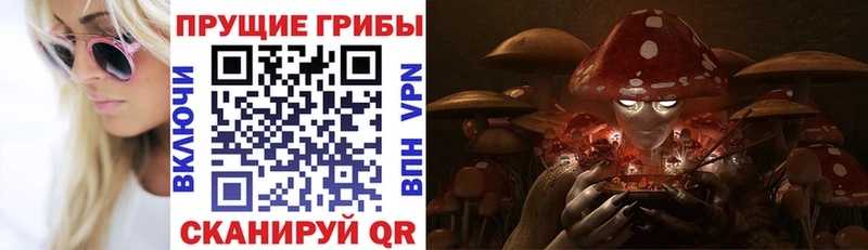 гидра ссылка  Луховицы  Псилоцибиновые грибы ЛСД 